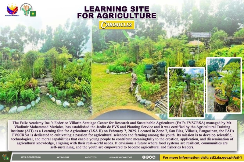 Jardin de FVS and Planting Service