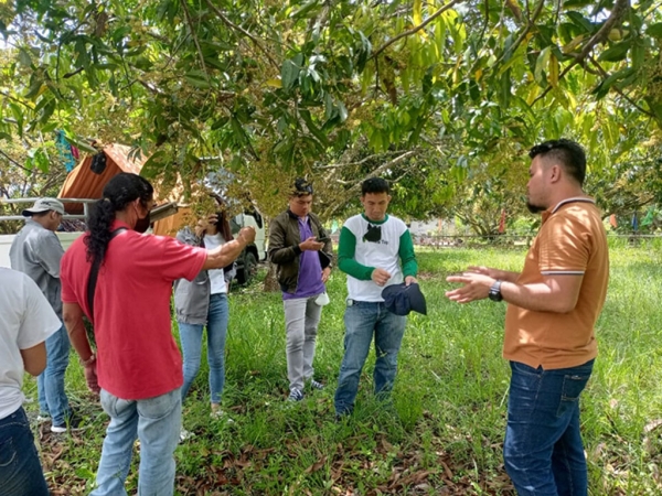 HVC Coordinators Train On GAP Mango | ATI Caraga