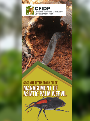 Management of Asiatic Palm Weevil
