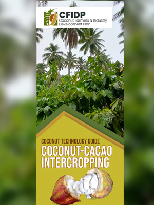 Coconut-cacao Intercropping