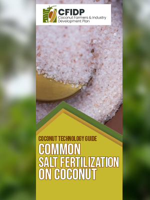 Common Salt Fertilization in Coconut
