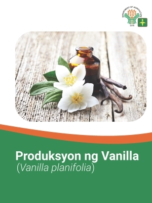 Produksyon ng Vanilla