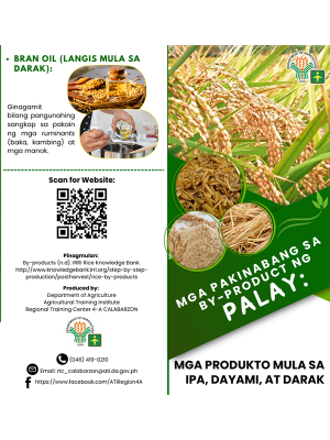 Mga pakinabang sa by-product ng Palay