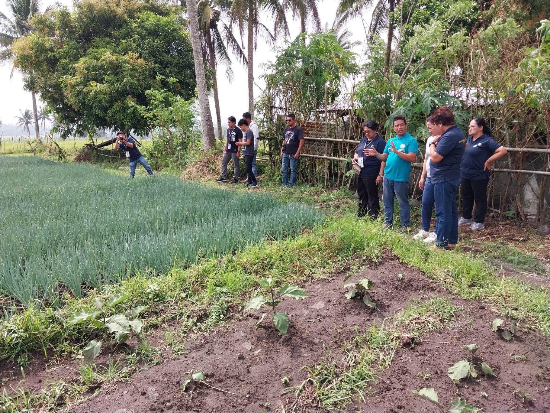 Diesta Farm.jpg Diesta Farm.jpg