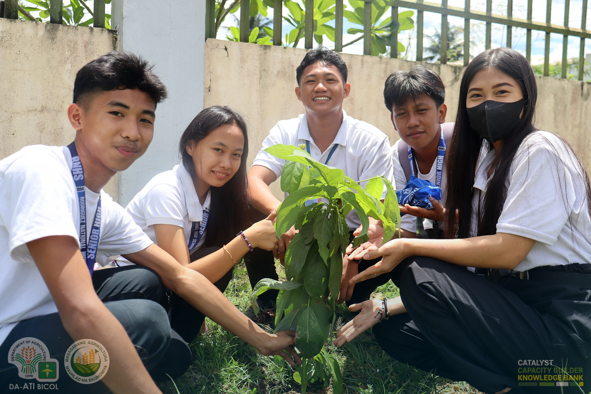 RNHS farm1.jpg RNHS farm1.jpg