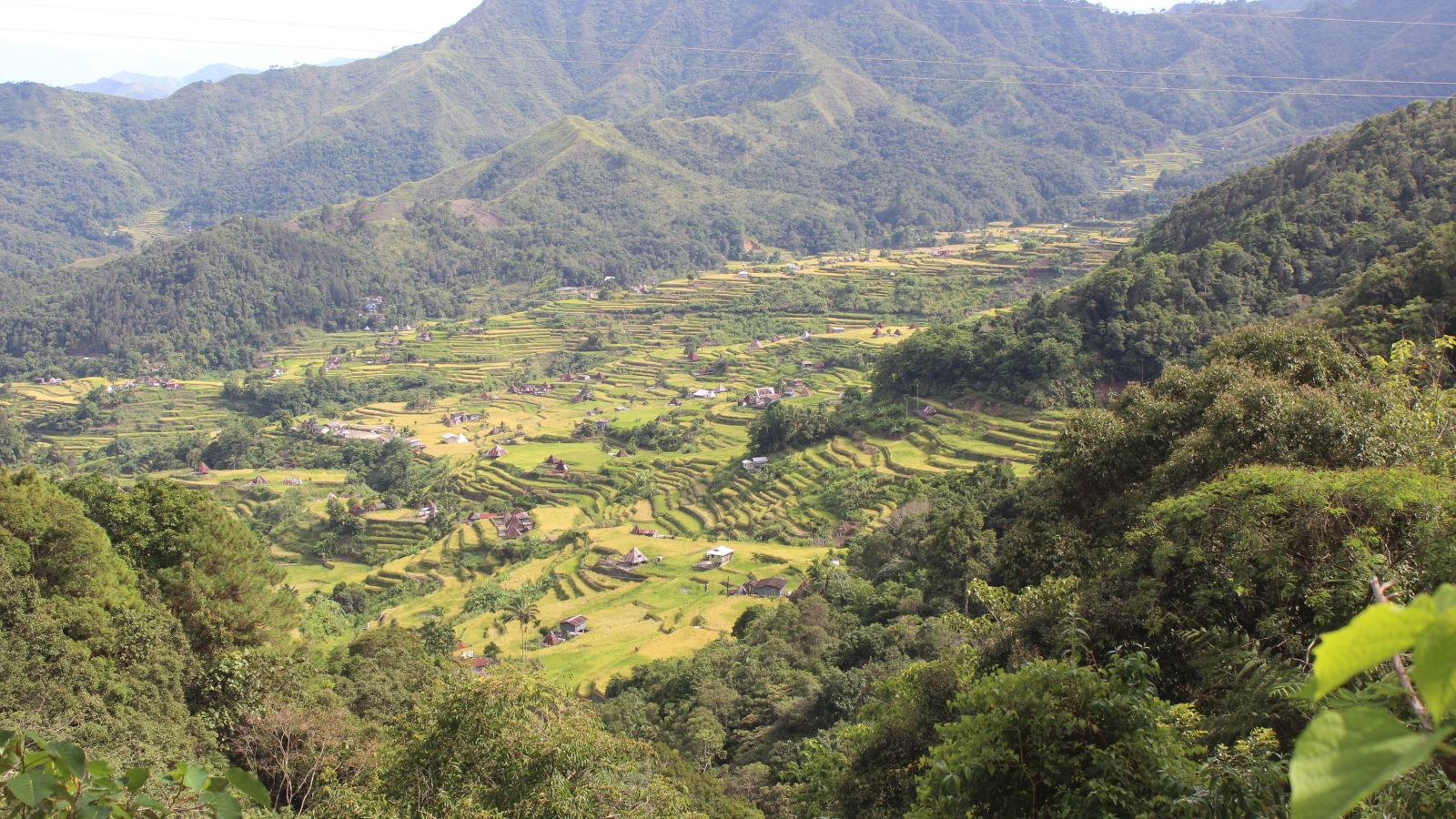 Mayoyao Rice Terraces