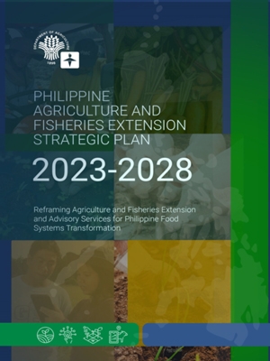 AFE Strategic Plan 2023-28