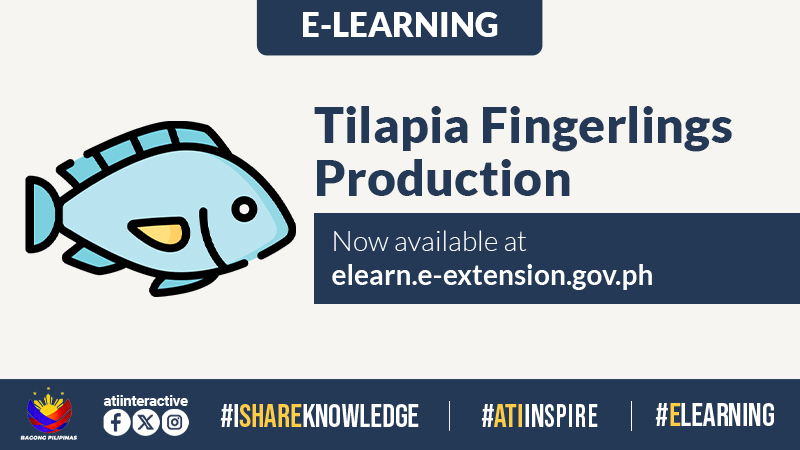 TILAPFINGER 3.jpg TILAPFINGER 3.jpg