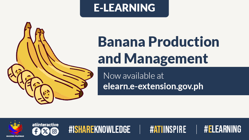 e-learnen BANAPROD 3.jpg e-learnen BANAPROD 3.jpg