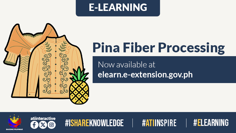 elearn soc med PINEFIBR3.jpg "Pineapple1"