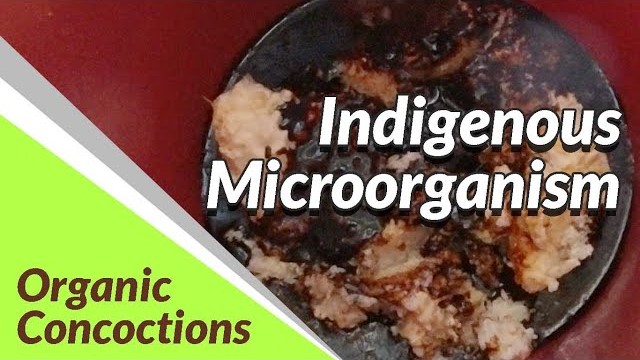 Indigenous Microorganism | Organic Concoctions