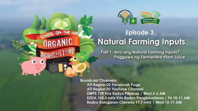Natural Farming Inputs (Fermented Plant Juice, Fermented Fruit Juice, Fish Amino Acid) 1/3