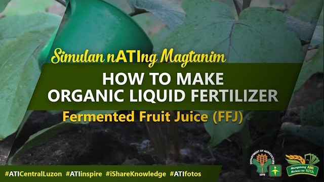 Organic Liquid Fertilizer FFJ