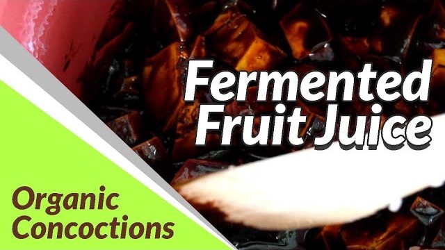 Fermented Fruit Juice | Organic Concoctions
