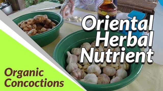Oriental Herbal Nutrient | Organic Concoctions