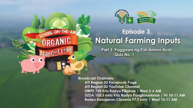 Natural Farming Inputs (Fermented Plant Juice, Fermented Fruit Juice, Fish Amino Acid) 3/3