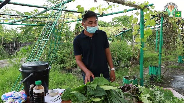 Silage Making using Forage Grasses and Vegetables (Tagalog)