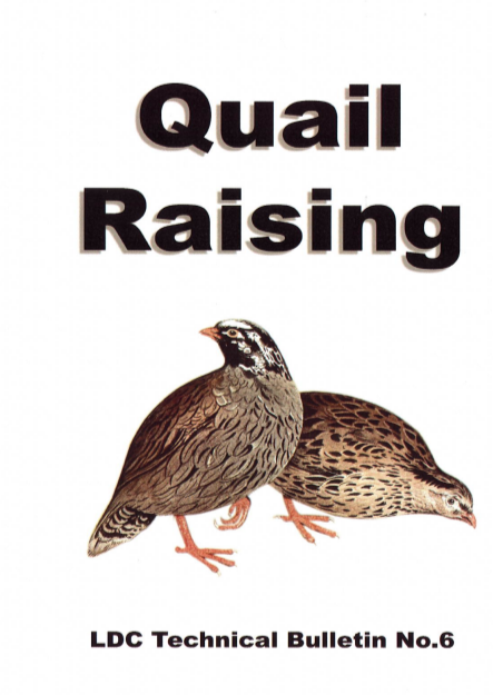 Quail Raising