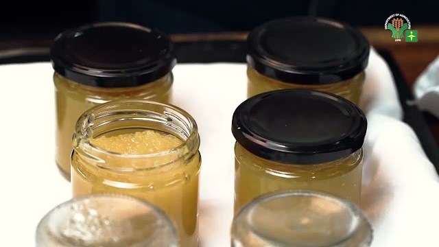 AgriTalk: 2 Easy Learning Video Series 22 | Langka Jam Processing | Canning