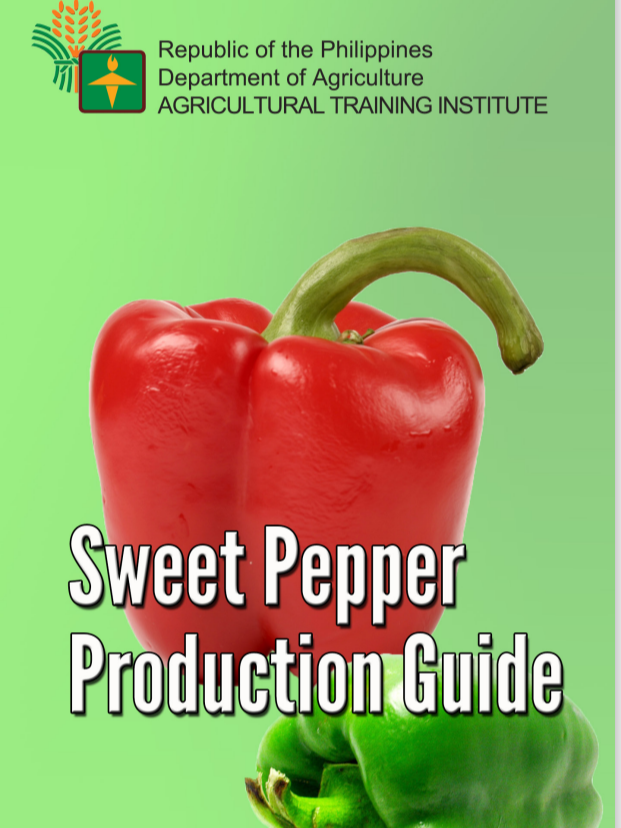 Sweet Pepper Production Guide